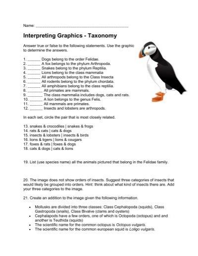 Classification and Taxonomy worksheet answers. . Interpreting graphics taxonomy answer key